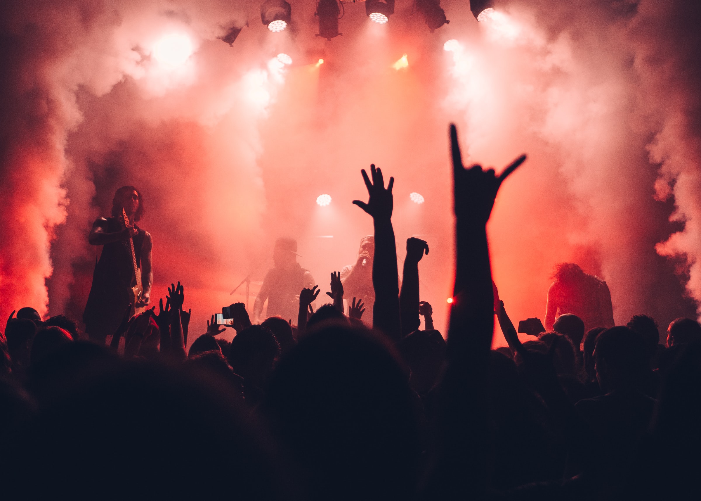 sebastian-ervi-uCZVEo8iT9Q-unsplash (1)